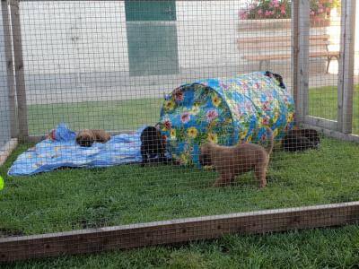 hinter Gittern