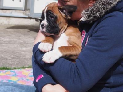 Eddie bei Mama zu kuscheln